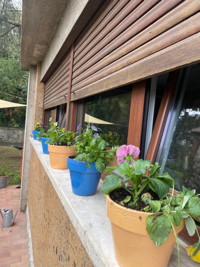 Il Giardinetto Di Elelu' Private Garage Daire Orvieto Dış mekan fotoğraf