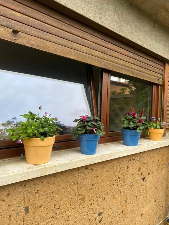 Il Giardinetto Di Elelu' Private Garage Daire Orvieto Dış mekan fotoğraf
